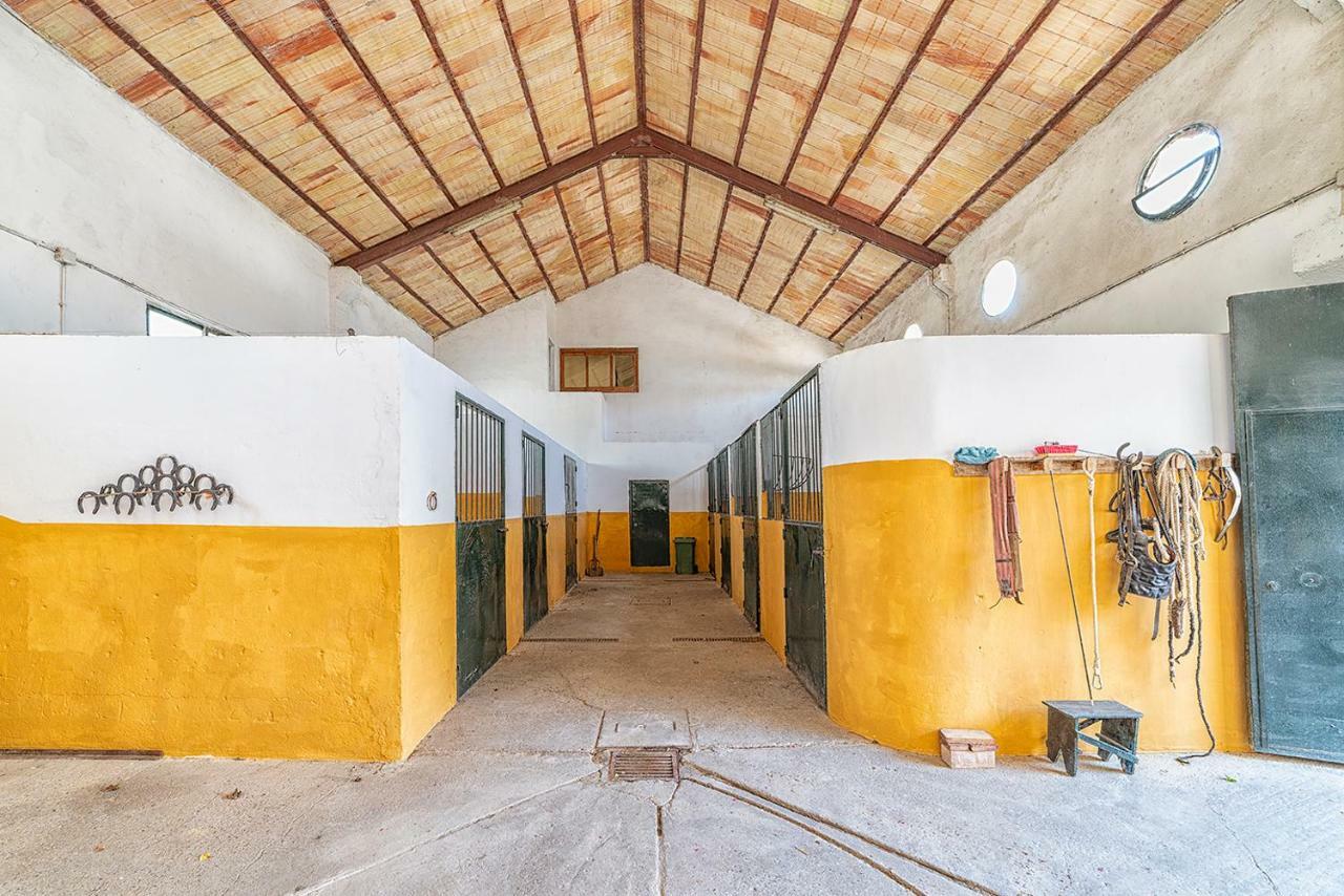 Alterhome Private Villa Cortijo Sierra Y Lago Arcos de la Frontera Exterior foto